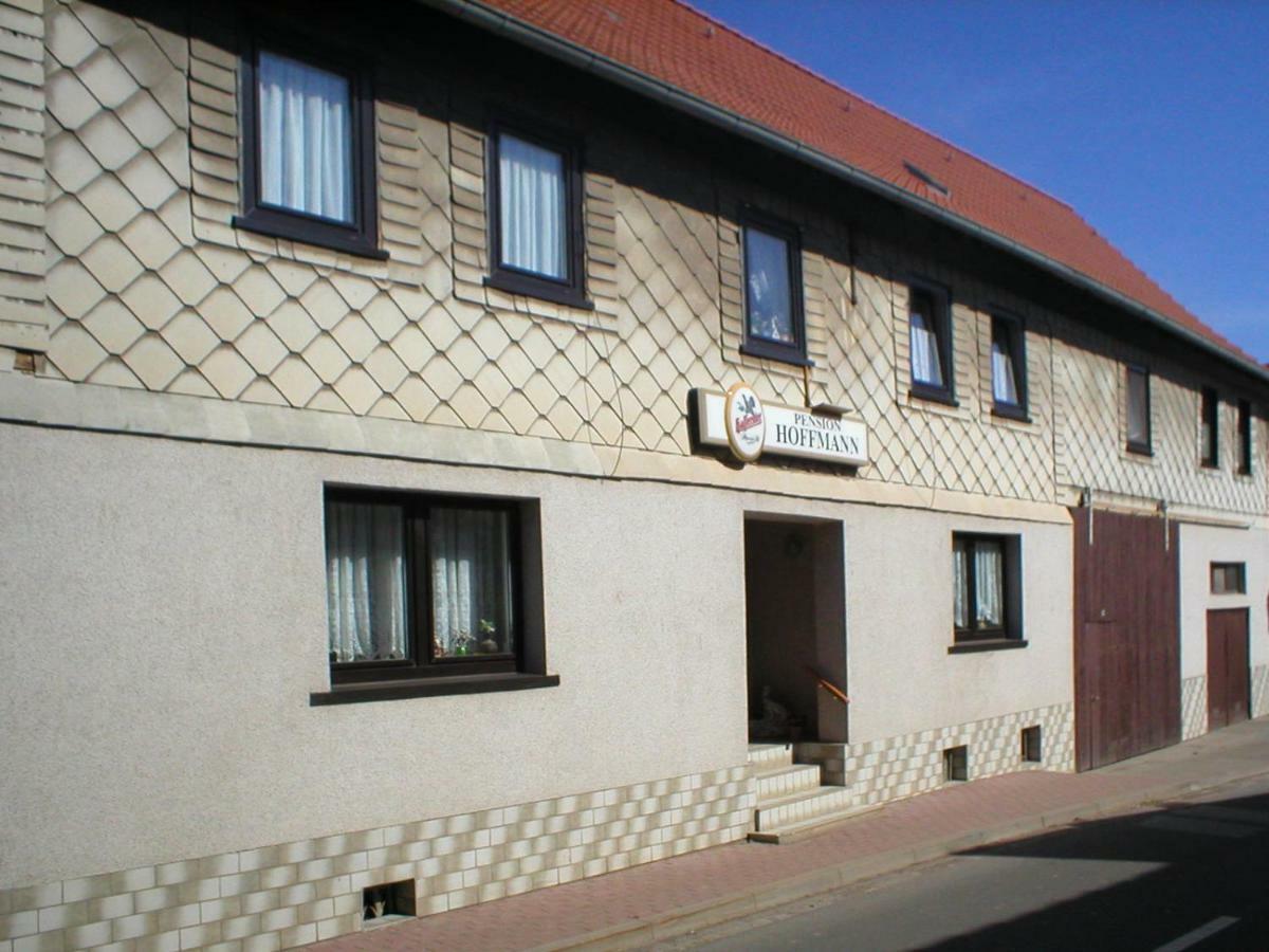 Pension Hoffmann Trebra Exterior photo